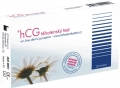 Tehotenský test hCG