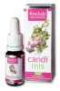 Candimis