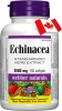 Echinacea