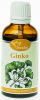 Ginko dvojlaločné