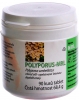 Polyporus