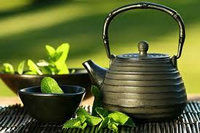 Ako si pripravovať a dávkovať bylinné čaje