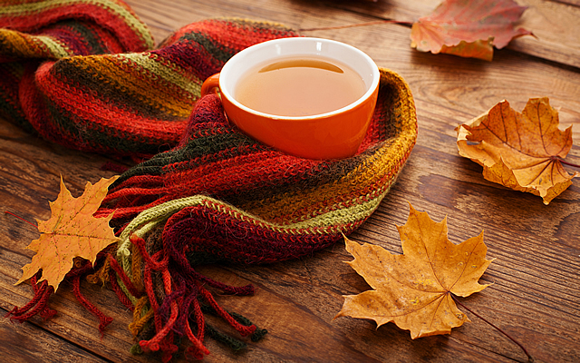 Vyskúšajte čaje z týchto bylín, ktoré dokážu poraziť jesenné prechladnutie