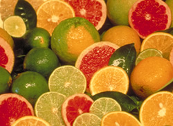 Citrusové plody - časť 1