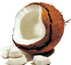 Kokosový orech 2