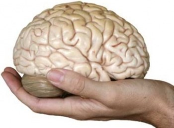Tipy na posilnenie pamäte, pozornosti a funkcie mozgu
