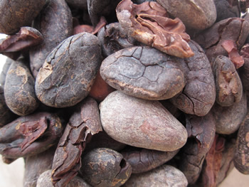Zázračné kakao na chuť i zdravie