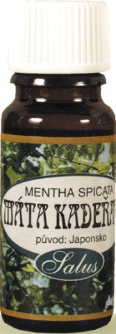 Éterický olej - Mäta Kučeravá