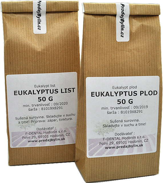 Eukalyptus guľatoplodý
