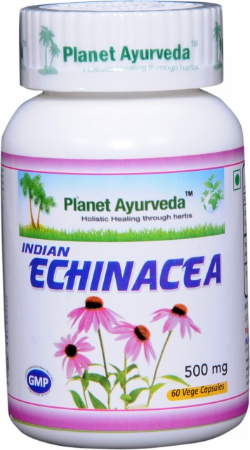 Indická Echinacea Kapsuly