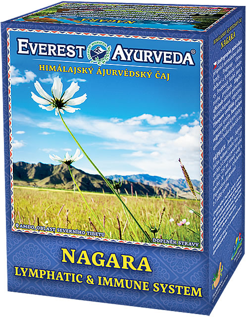 Ajurvédsky čaj Nagara