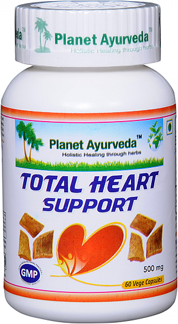 Total Heart Support