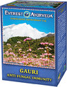 Ajurvédsky čaj Gauri