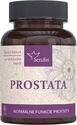 Prostata