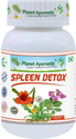 Spleen Detox - zdravie sleziny, detox